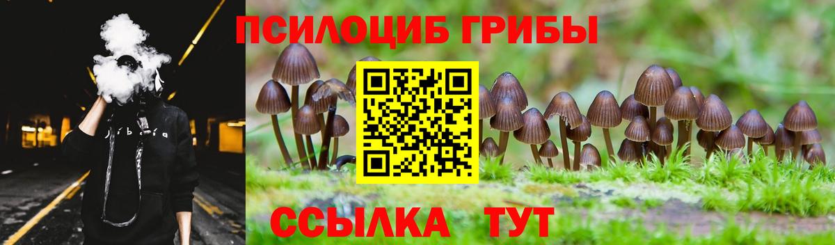 Кызыл  Галлюциногенные грибы GOLDEN TEACHER  Вход с VPN 