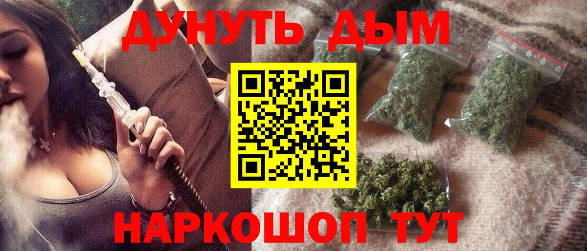 Конопля Bruce Banner  Каннабис сатива  Конопля VHQ  Кызыл  Вход с VPN  Канабис конопля 